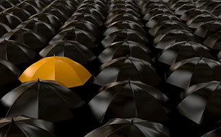 Leader In Insurance ITO Services