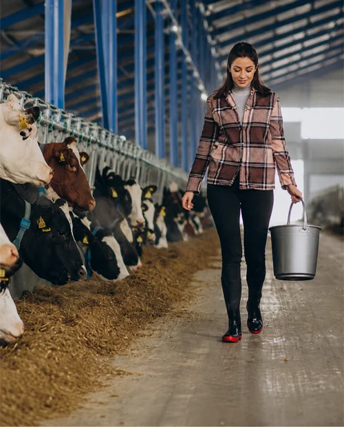 How SAP-Azure Integration Helped a Global Dairy Cooperative Unlock Specialized Nutrition Insights