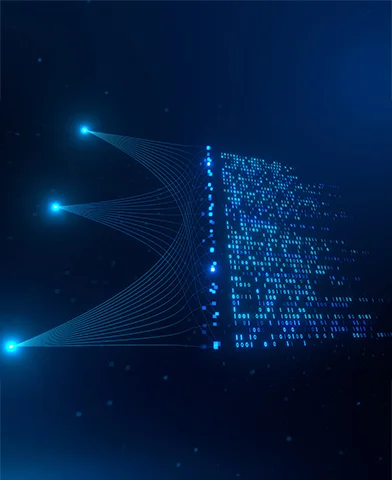 Augmented Data Quality