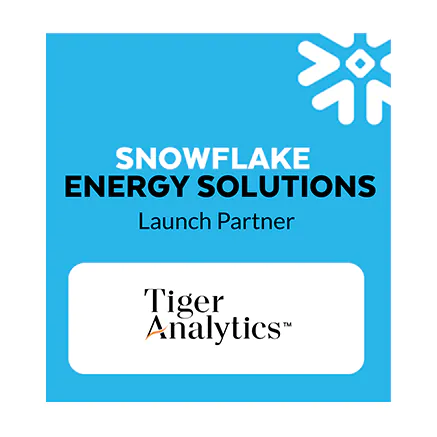 Tigeranalytics Energy Solutions