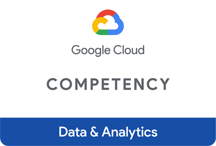 Google Data And Analytics Competency