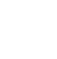 Enterprise Ready Governance