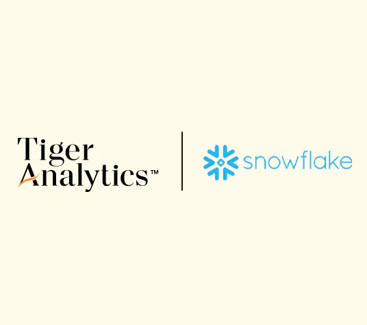 Tigeranalytics Snowflakes